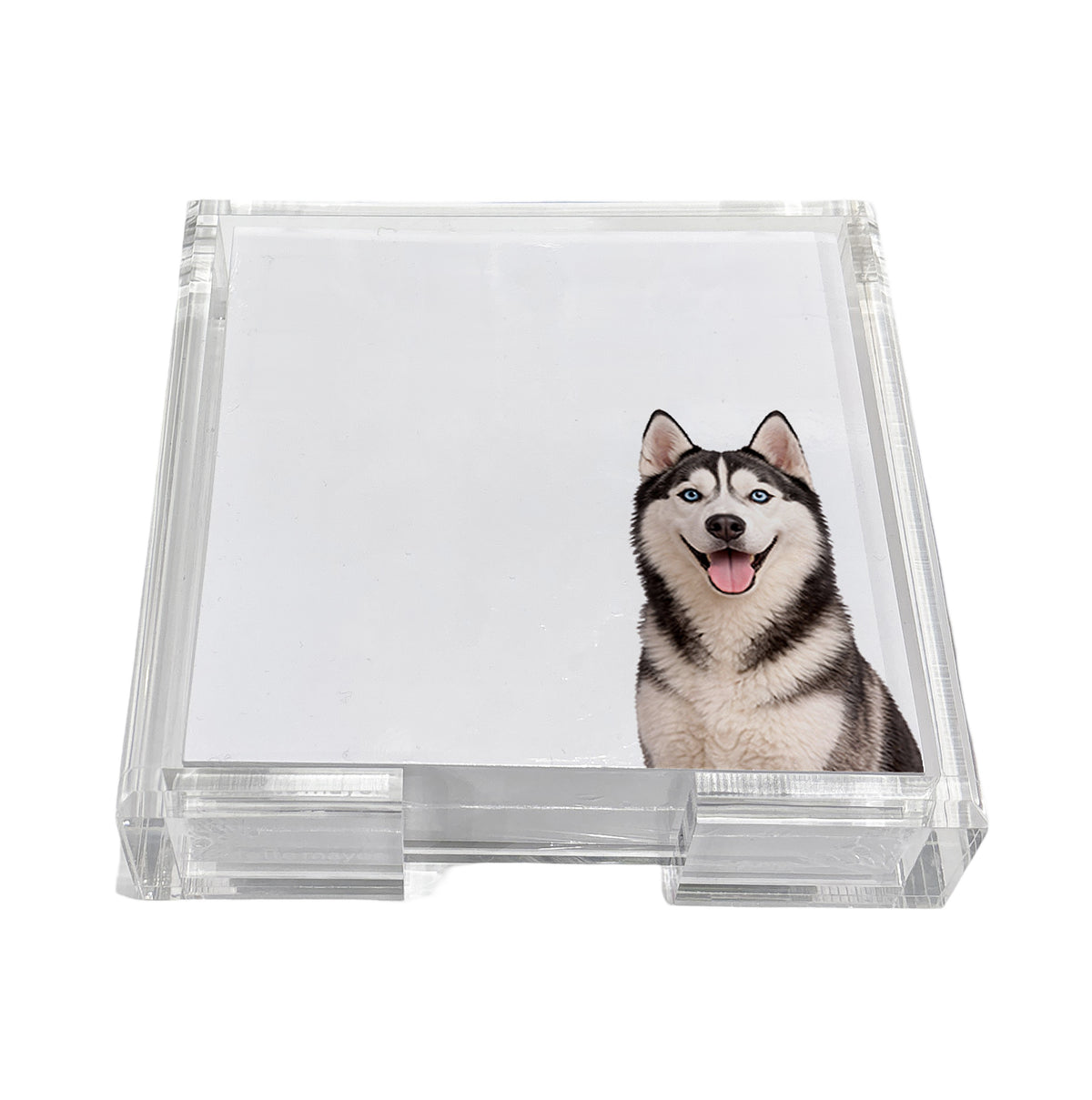 Husky dog note cards in a clear acrylic holder by Nicolette Mayer
