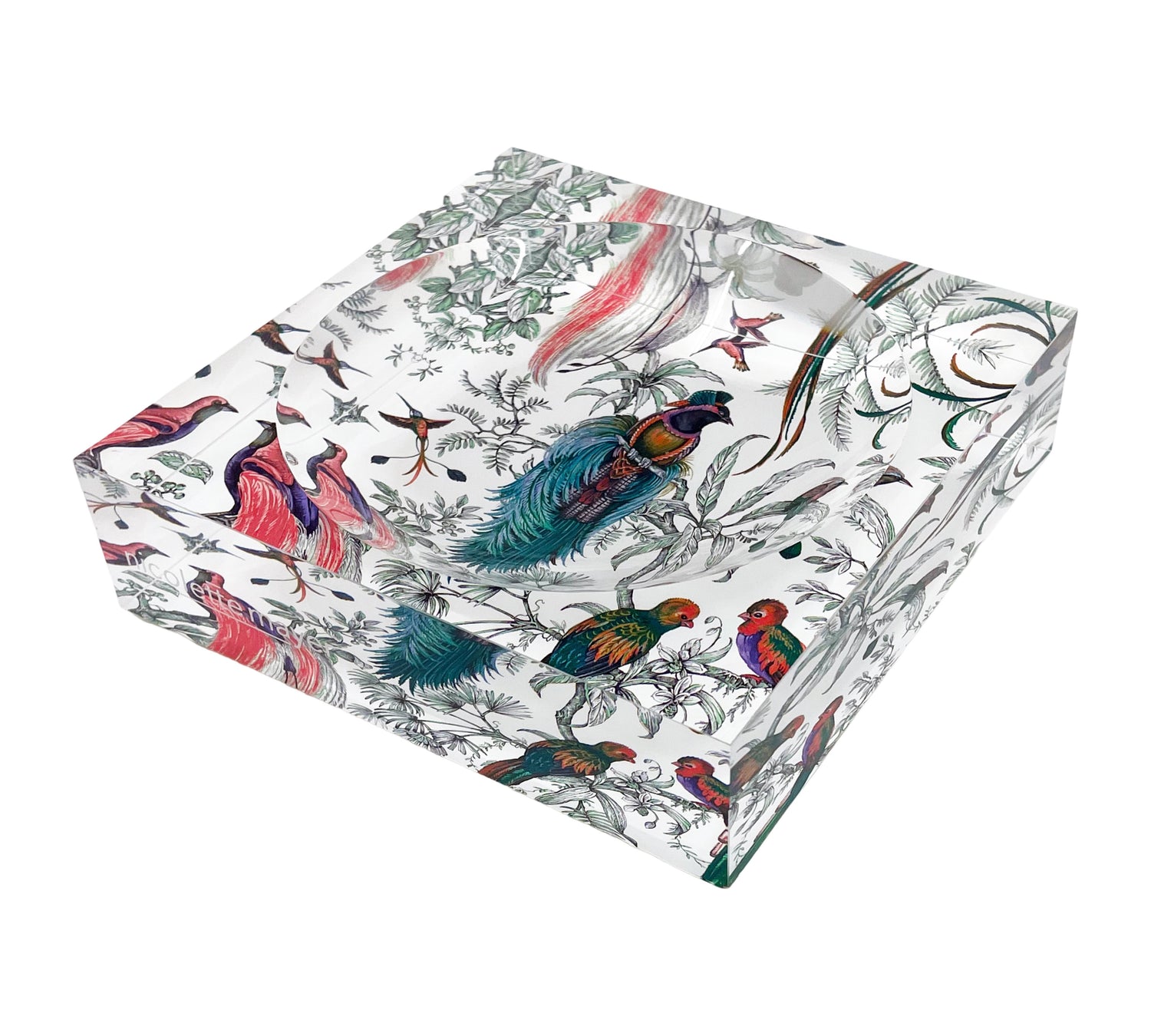 Audubon Exotica Green Persimmon Acrylic Candy Catchall Dish