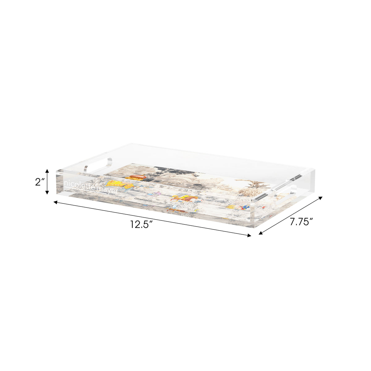 India Scene Spectacular Acrylic Decorative Tray, 12.5 x 7.75 in. by Nicolette Mayer 