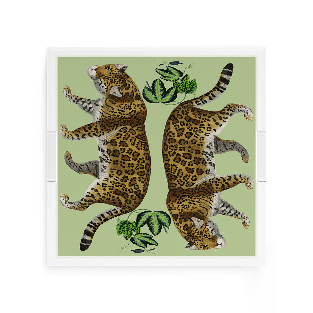 Leopard Seeing Double Avocado 12X12 Acrylic Tray - nicolettemayer.com
