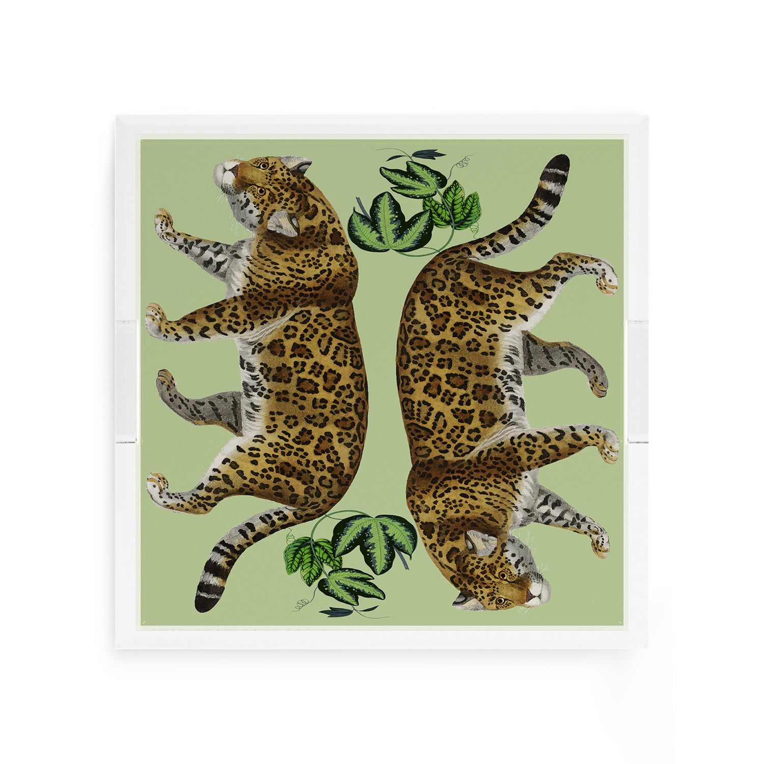 Leopard Seeing Double Avocado 12X12 Acrylic Tray - nicolettemayer.com
