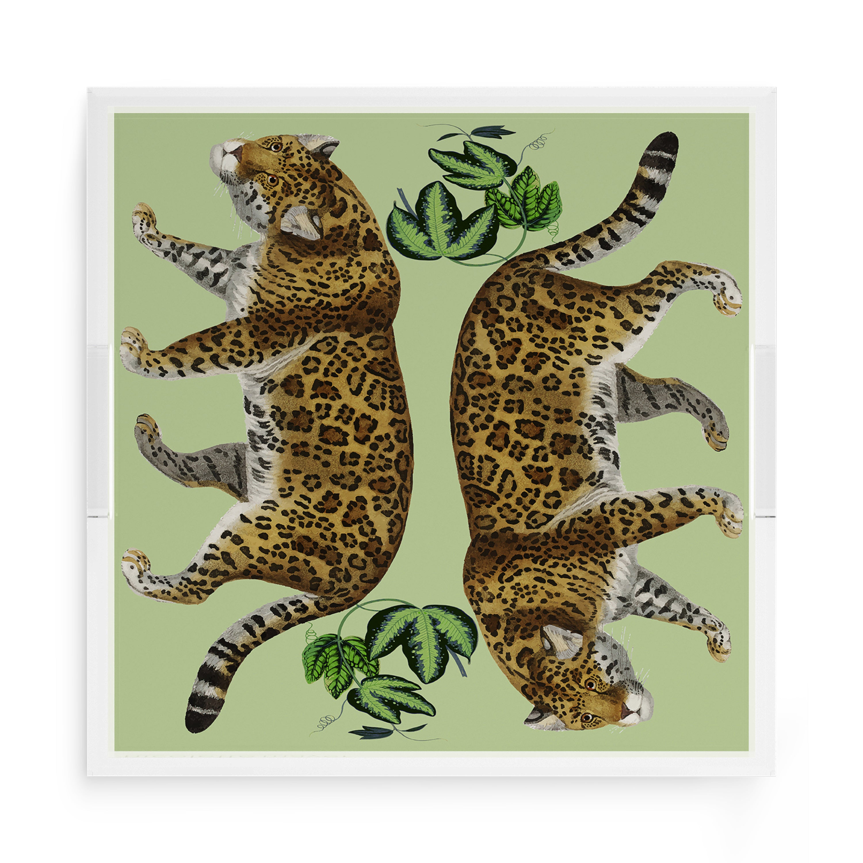 Leopard Seeing Double Avocado 15X15 Acrylic Tray - nicolettemayer.com
