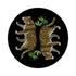 Leopard Seeing Double Black 16" Round Pebble Placemats, Set of 4 - nicolettemayer.com
