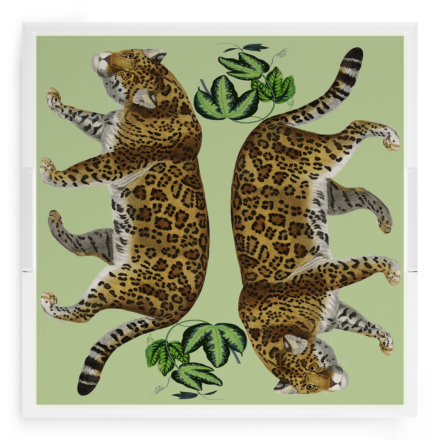 Leopard Seeing Double Avocado 18X18 Acrylic Tray - nicolettemayer.com
