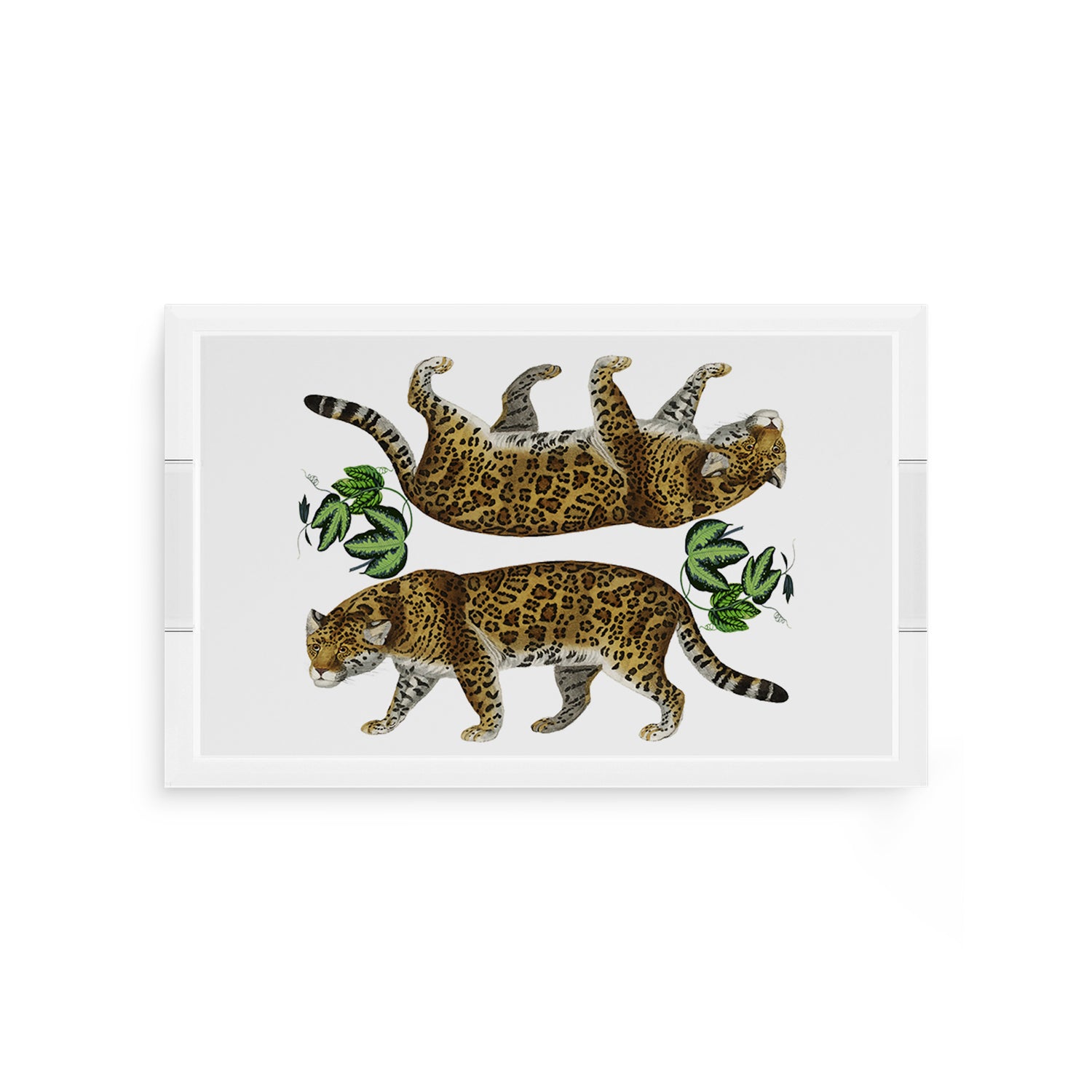 Leopard Seeing Double White 12.5X7.75 Acrylic Tray - nicolettemayer.com
