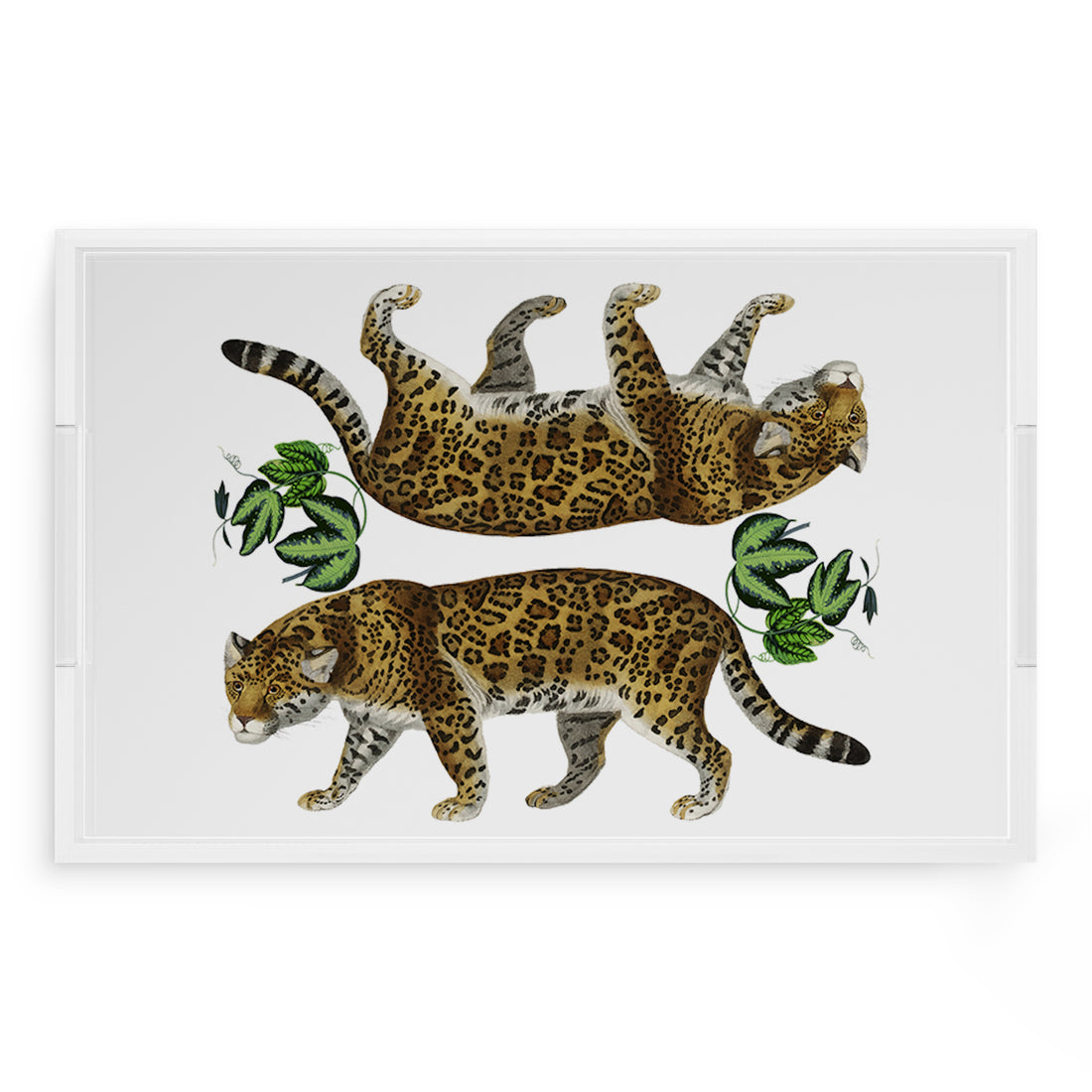 Leopard Seeing Double White 22.5X14.5 Acrylic Tray - nicolettemayer.com
