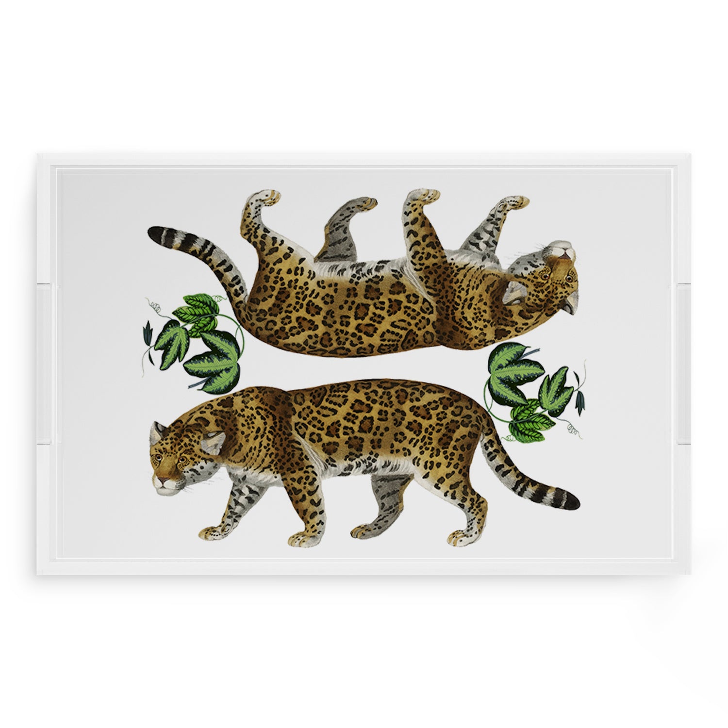 Leopard Seeing Double White 22.5X14.5 Acrylic Tray - nicolettemayer.com
