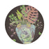 Monkey Large Jungle Chocolatte Lime 16" Round Pebble Placemats, Set of 4 - nicolettemayer.com
