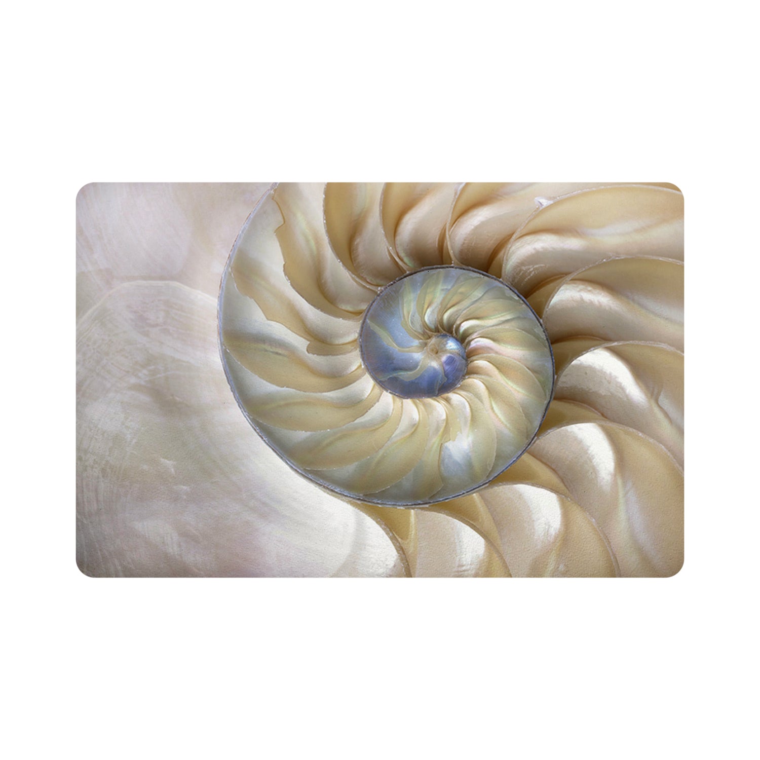 Nautilus Pearl Rectangle Pebble Placemat - nicolettemayer.com