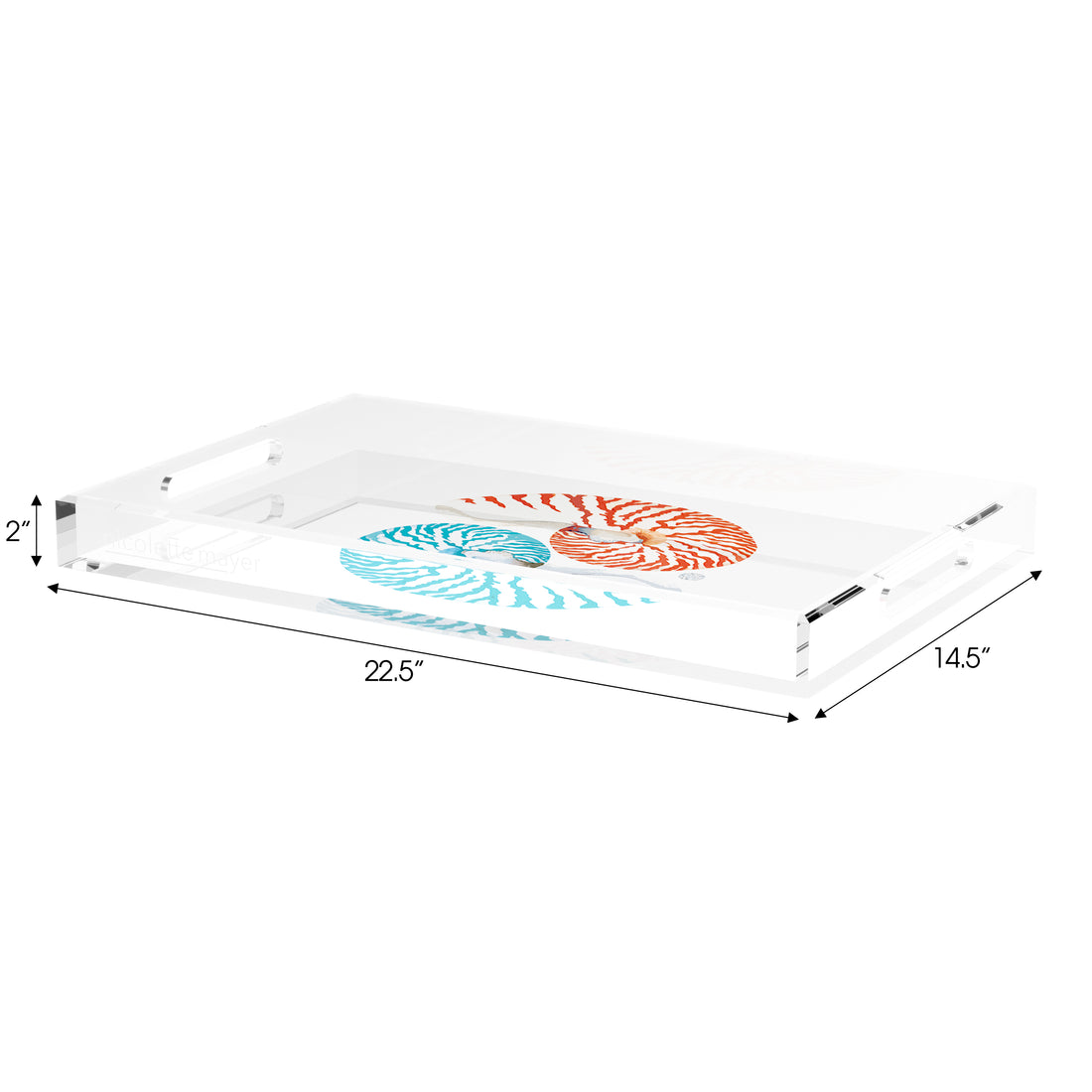 Nautilus Coral Turq 22.5X14.5 Acrylic Tray - nicolettemayer.com
