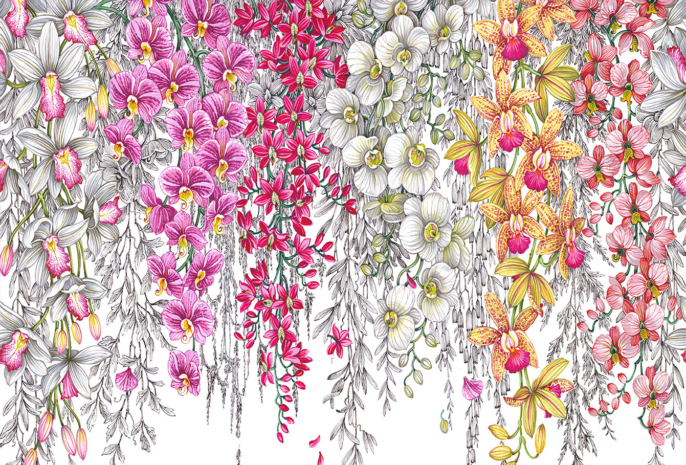 Orchid Garden Original Paper Placemat Pad, One Set Of 24