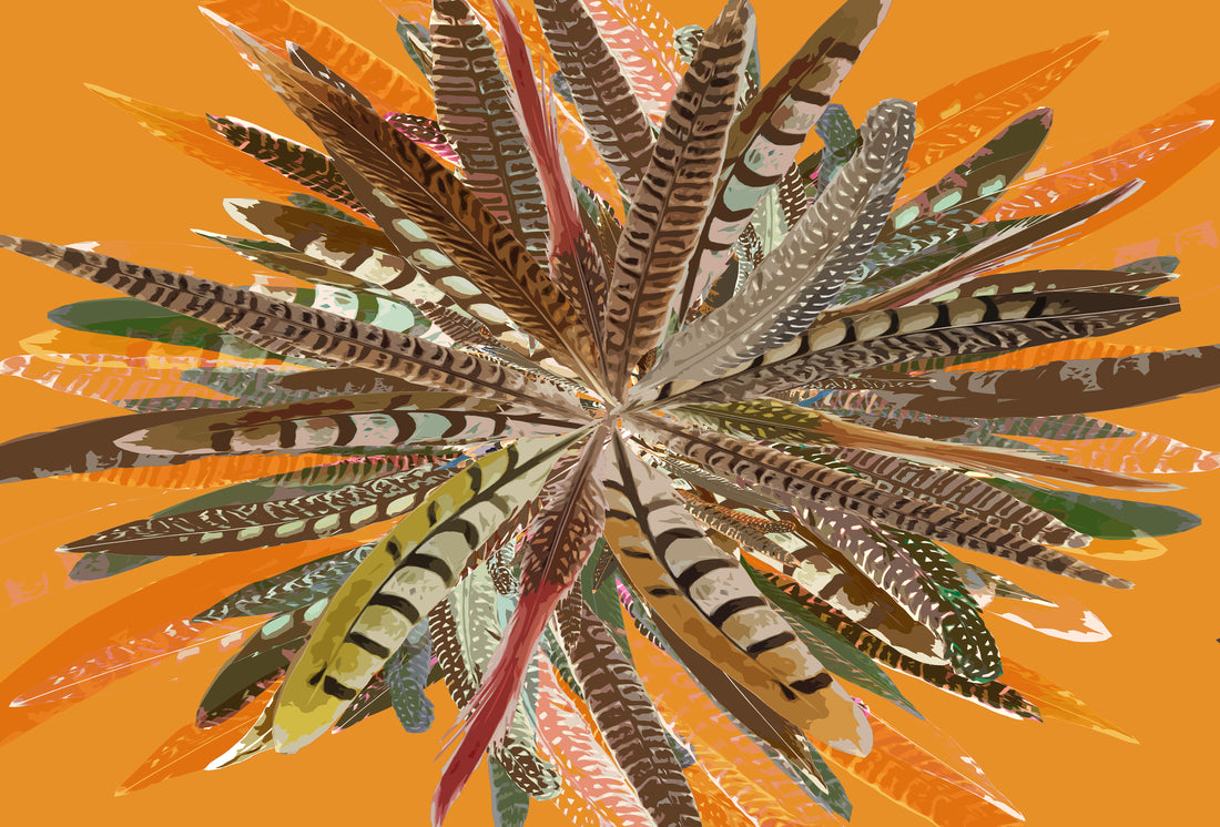 Pheasant Feathers Paper Placemat Pad, One Set Of 24