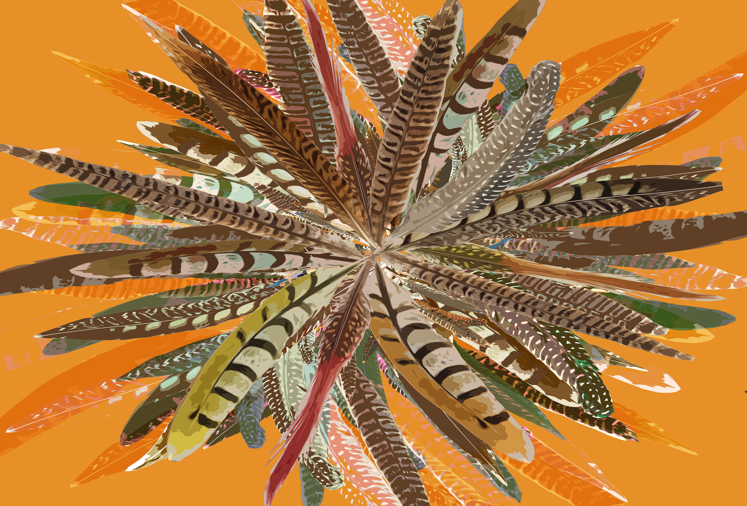 Pheasant Feathers Paper Placemat Pad, One Set Of 24