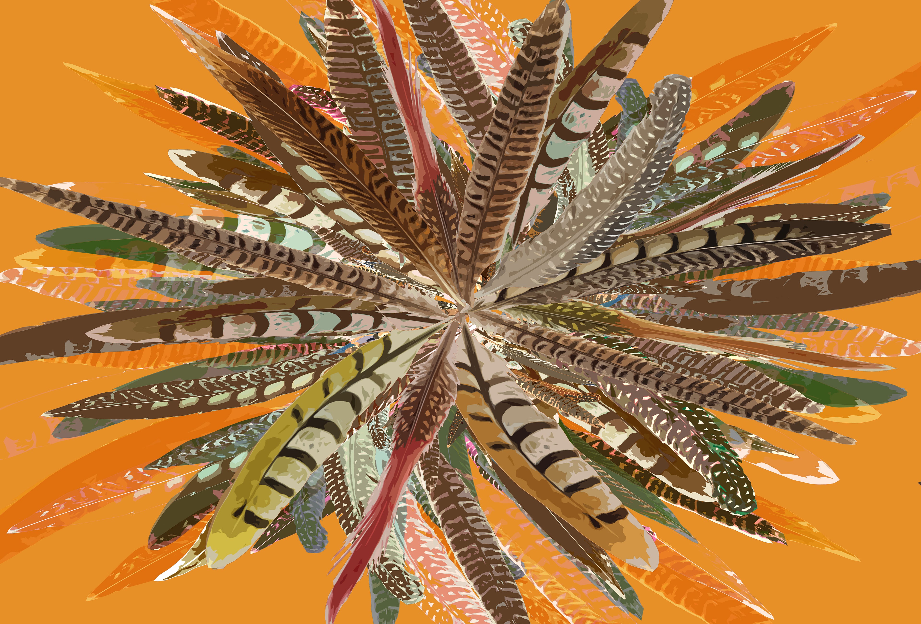 Pheasant Feathers Paper Placemat Pad, One Set Of 24