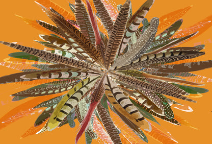Pheasant Feathers Paper Placemat Pad, One Set Of 24