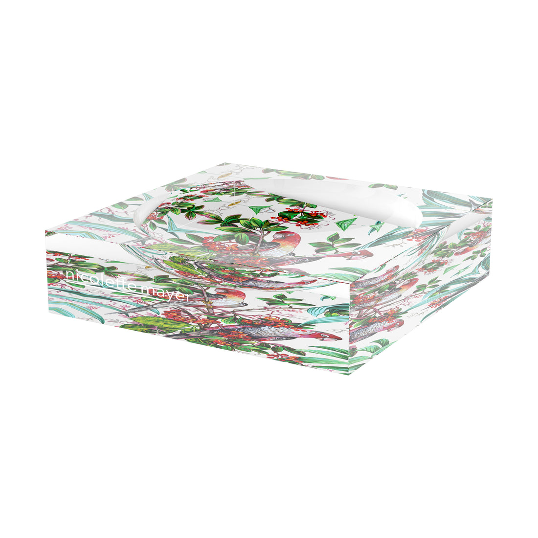 Parrot Passion Red Acrylic Candy Catchall Dish