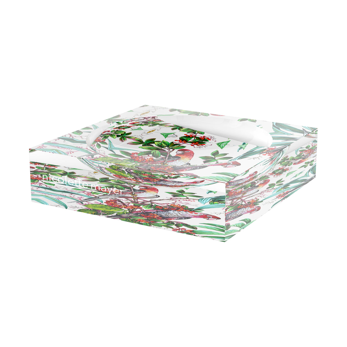 Parrot Passion Red Acrylic Candy Catchall Dish