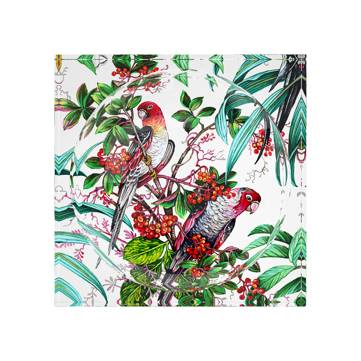 Parrot Passion Red Acrylic Candy Catchall Dish