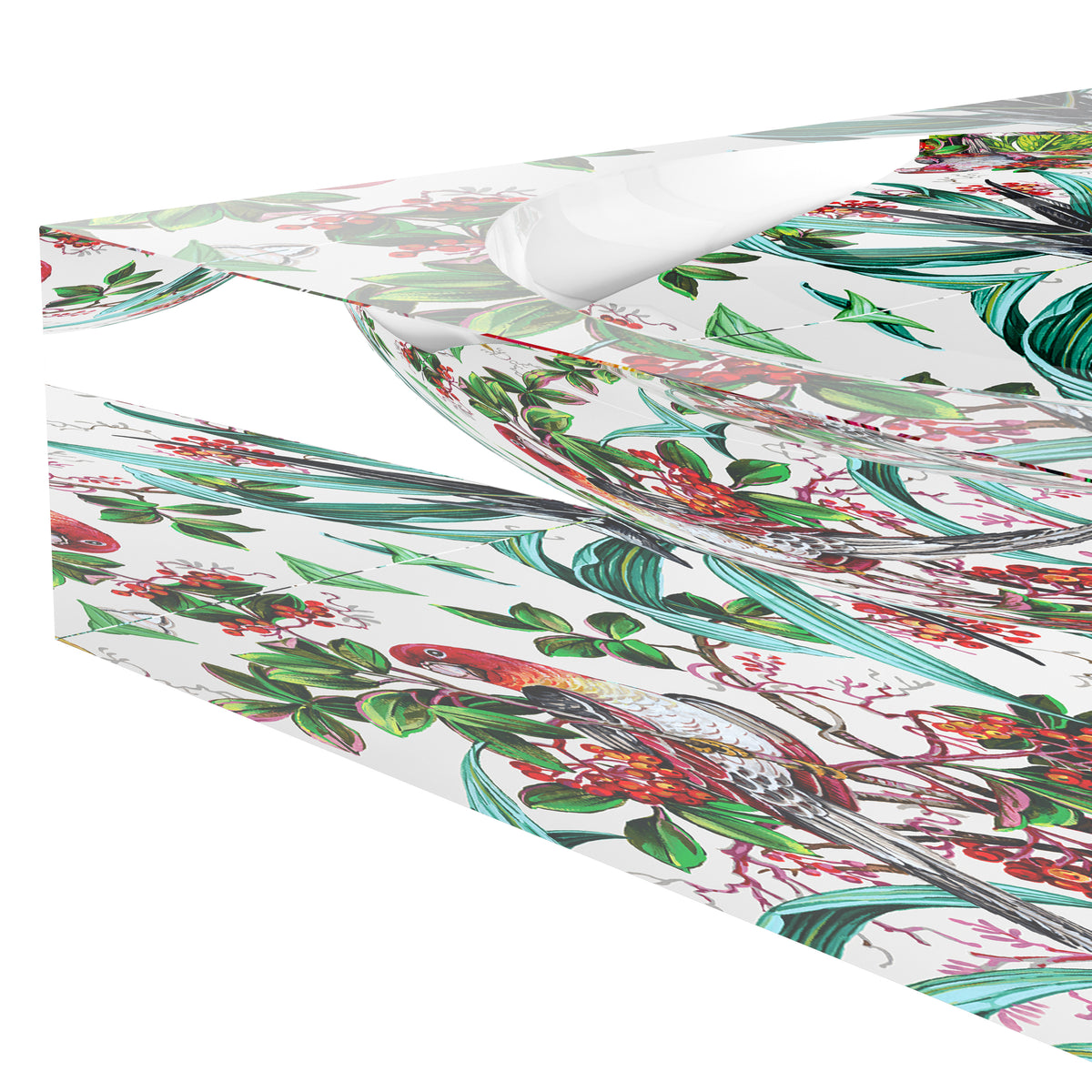 Parrot Passion Red Acrylic Candy Catchall Dish
