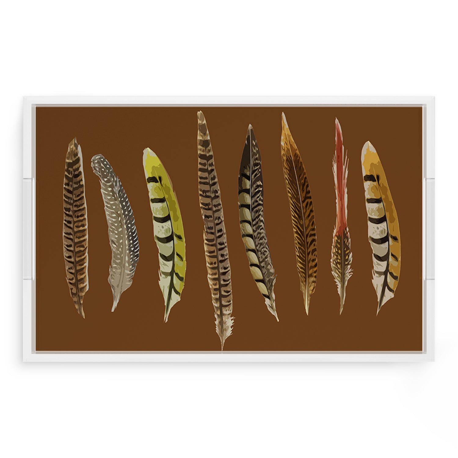 Pheasant Feathers Brown 22.5X14.5 Acrylic Tray - nicolettemayer.com
