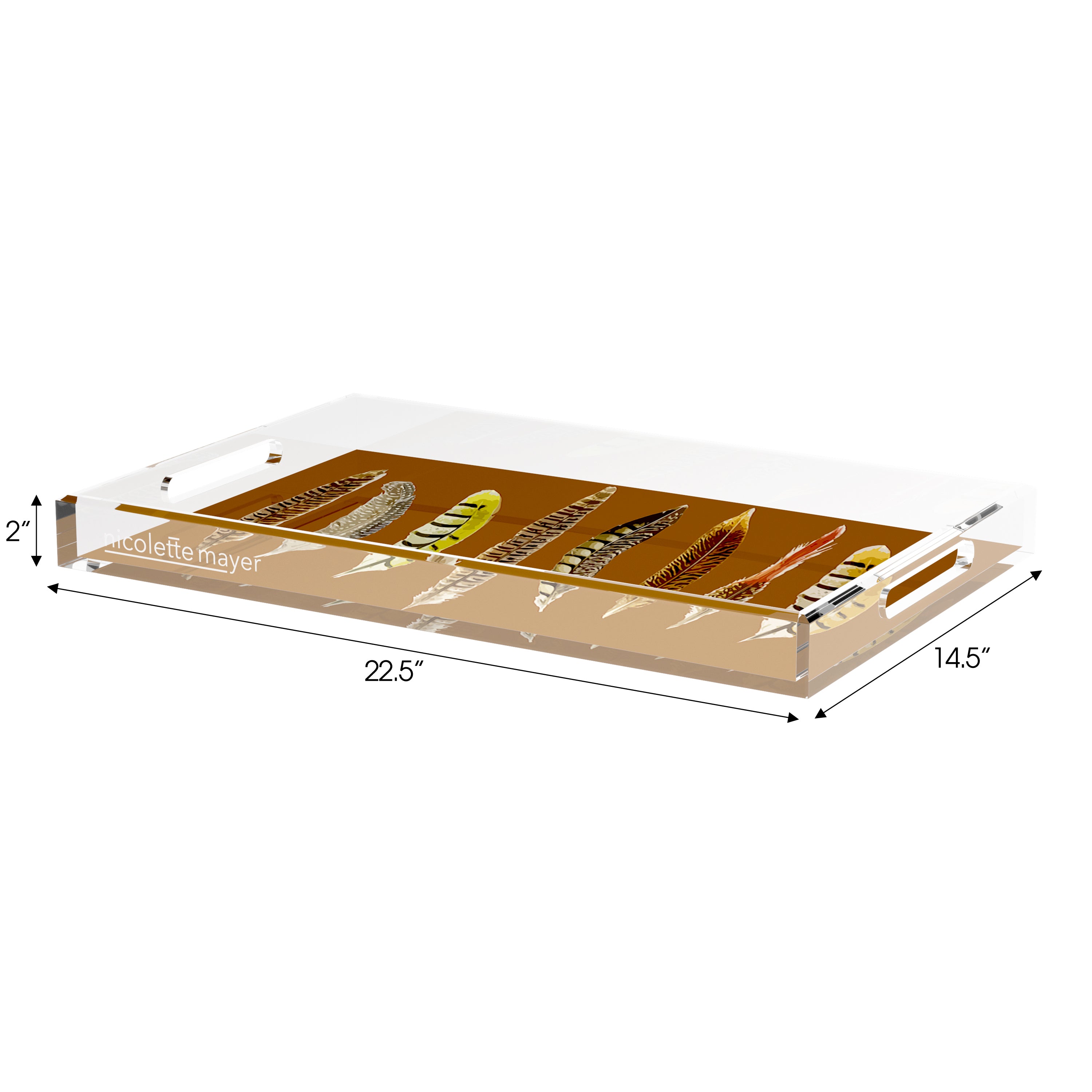 Pheasant Feathers Brown 22.5X14.5 Acrylic Tray - nicolettemayer.com
