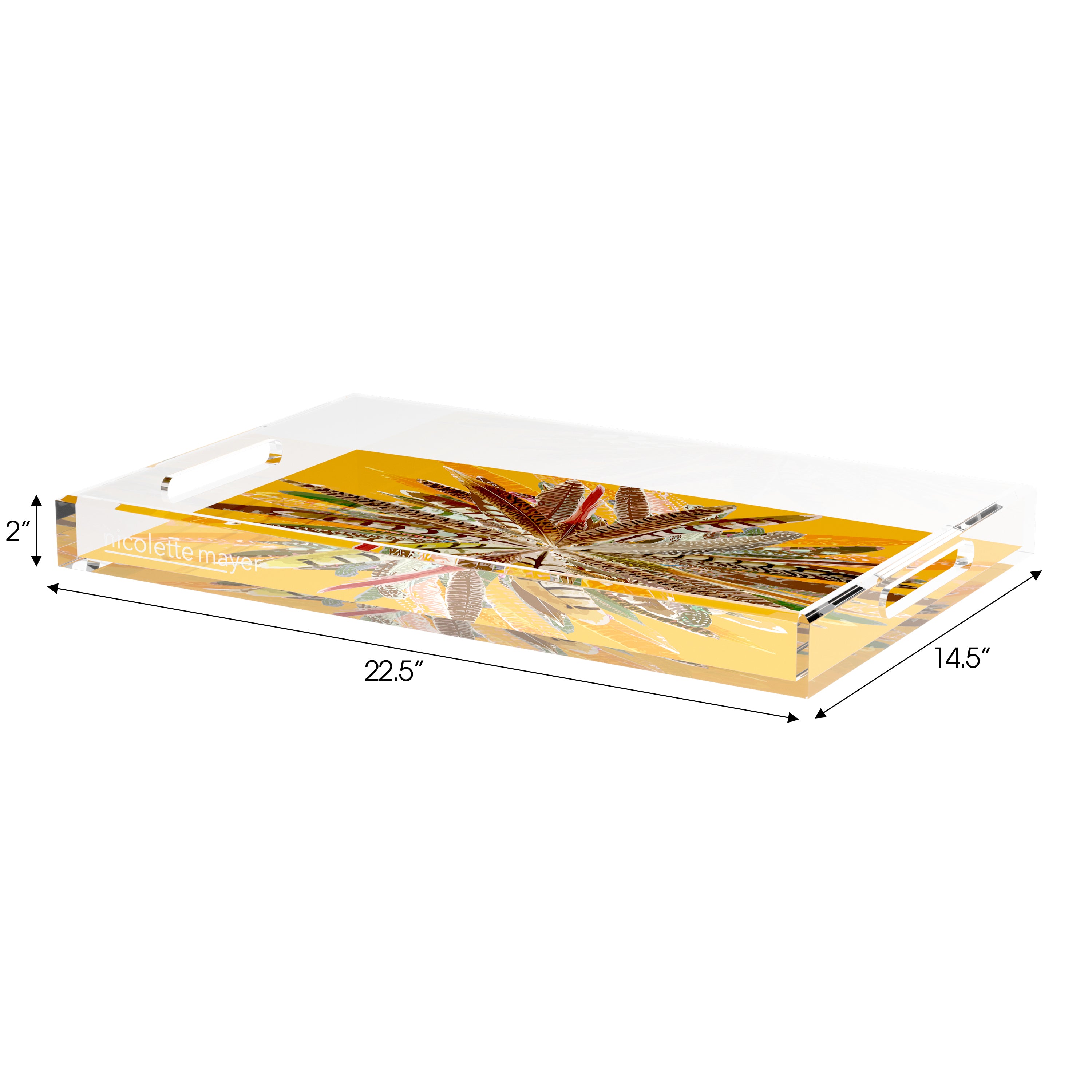 Pheasant Feathers Butternut 22.5X14.5 Acrylic Tray - nicolettemayer.com

