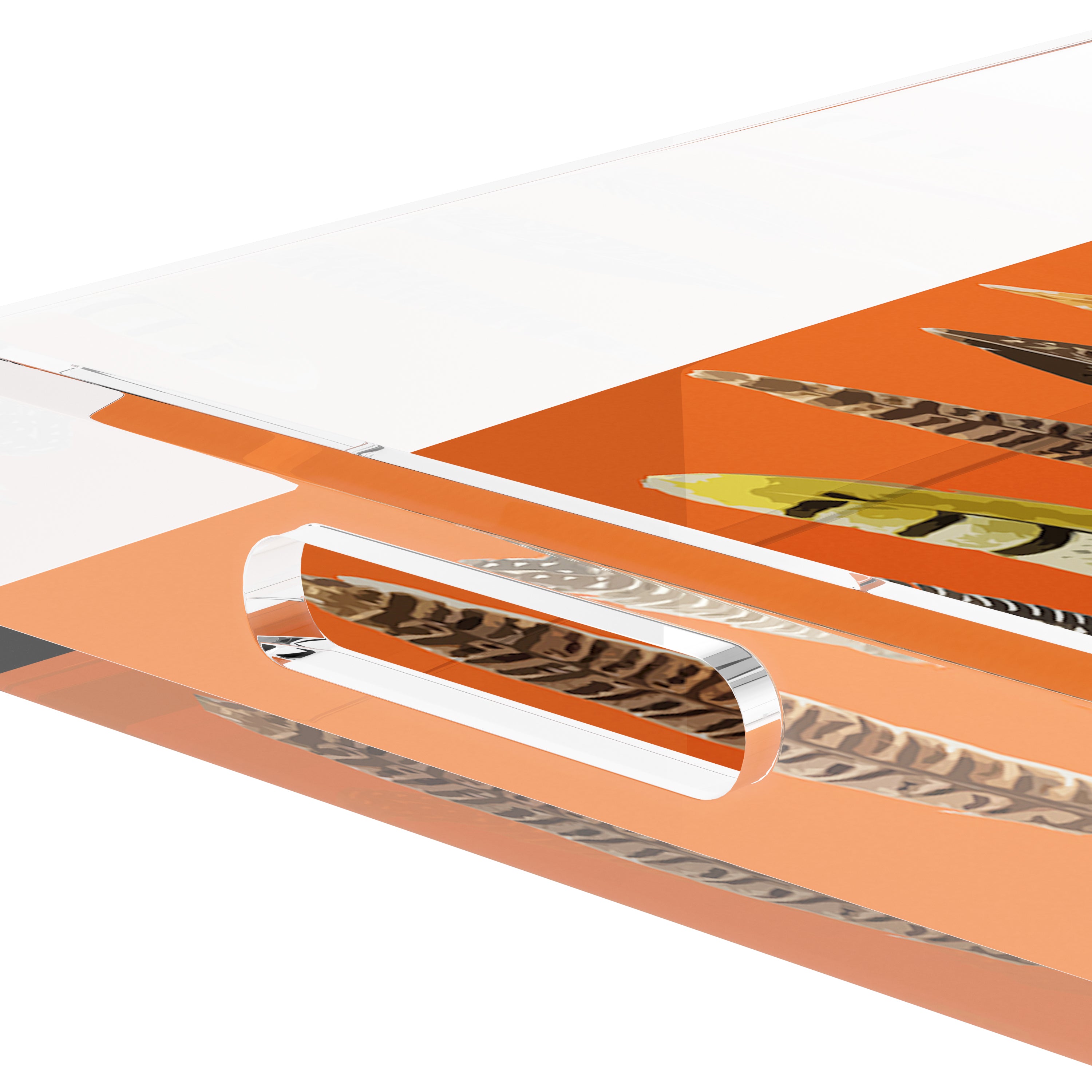 Pheasant Feathers Orange 12.5X7.75 Acrylic Tray - nicolettemayer.com
