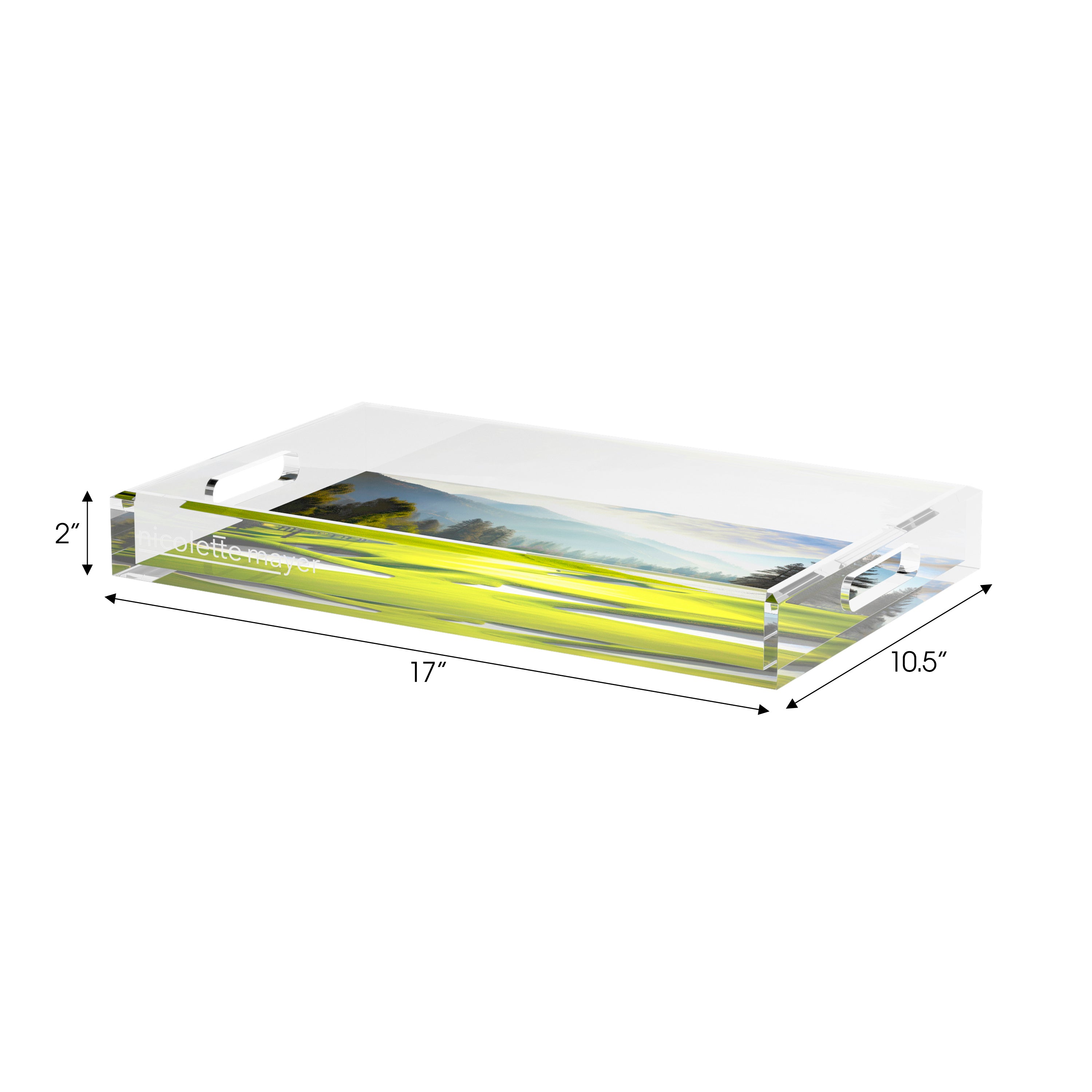 Golf Pin High  Set of 3 Acrylic Tray - nicolettemayer.com 