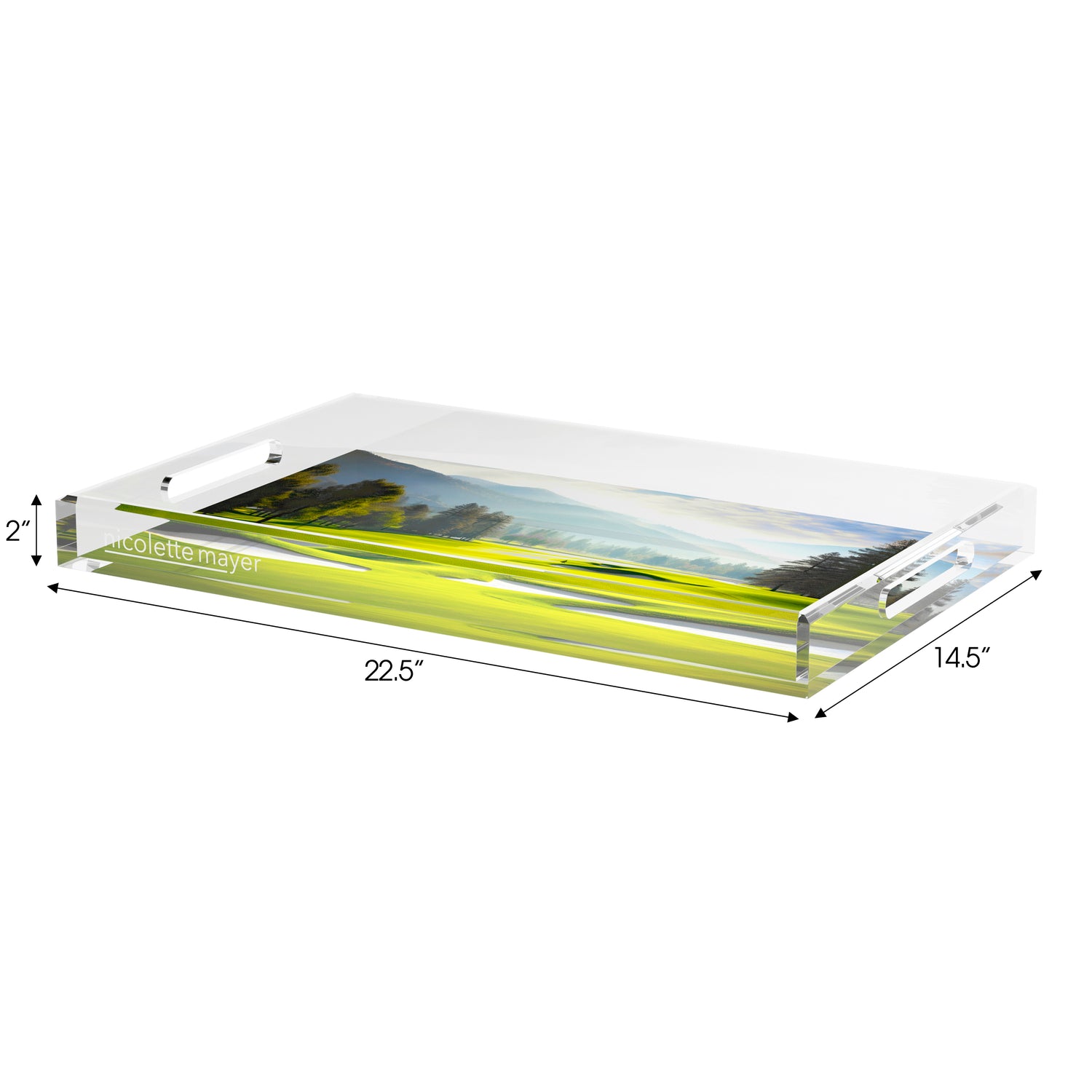 Golf Pin High  Set of 3 Acrylic Tray - nicolettemayer.com 