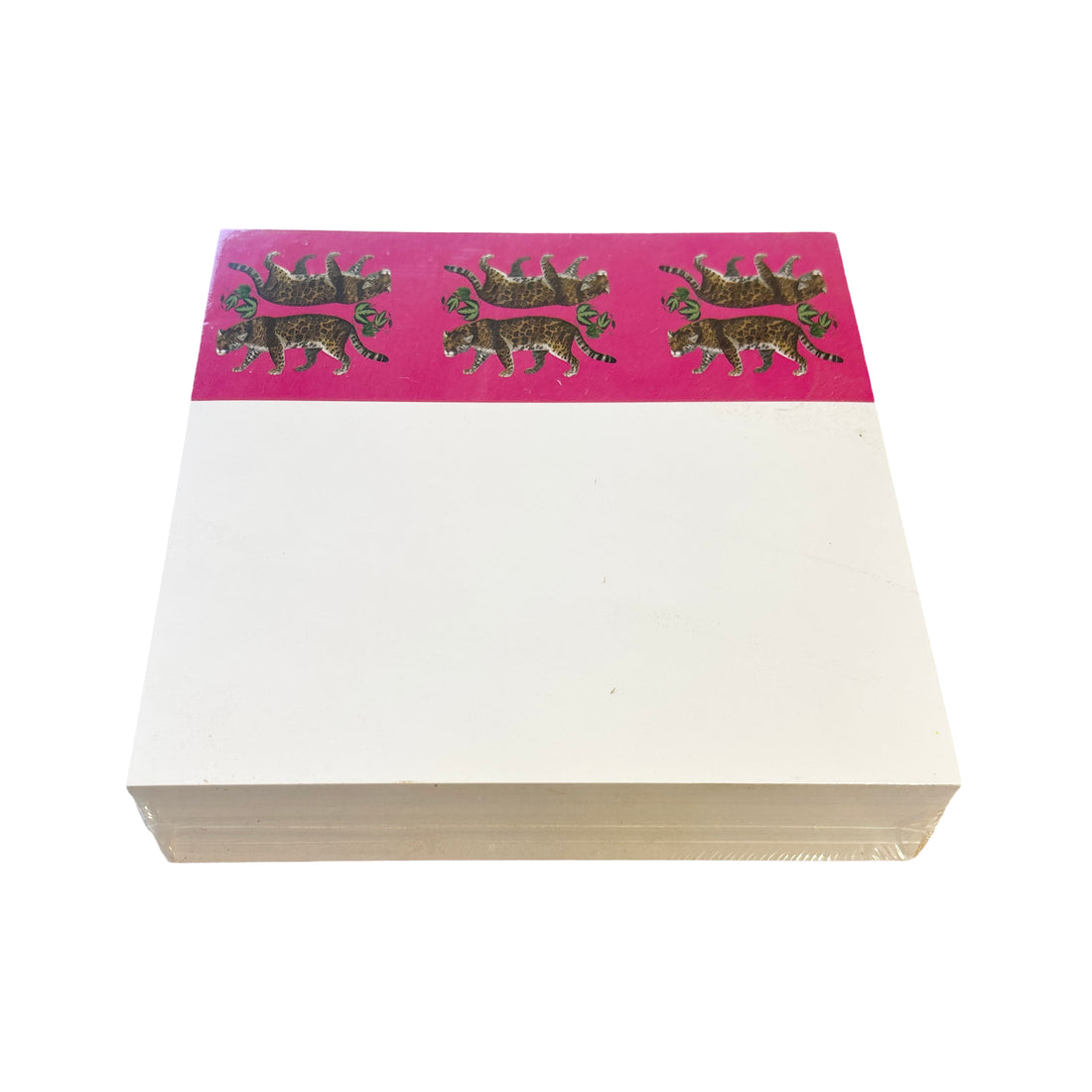 Leopard Seeing Double Hot Pink Note Cards With Acrylic Holder