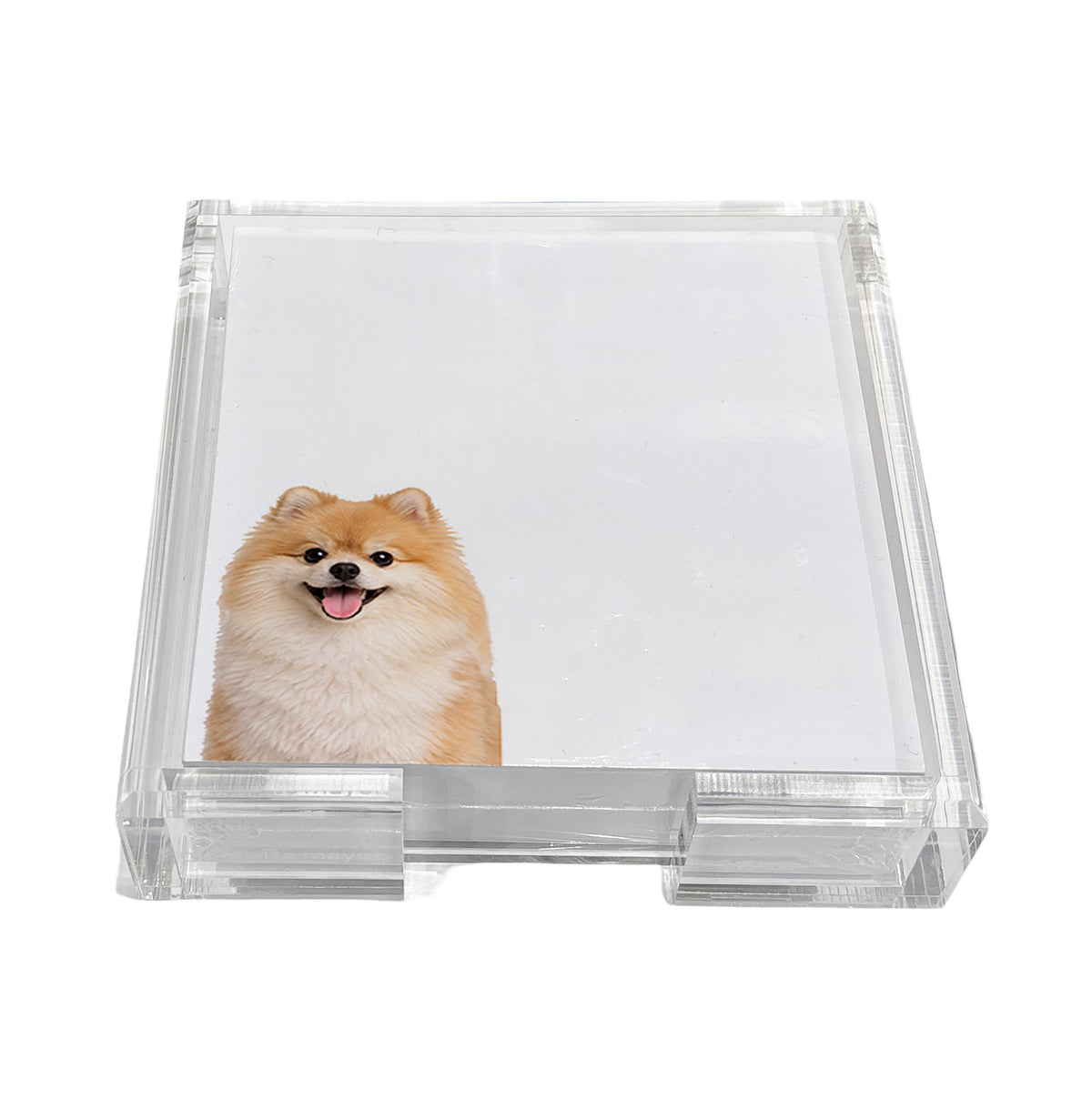 Pomeranian dog note cards in a clear acrylic holder by Nicolette Mayer