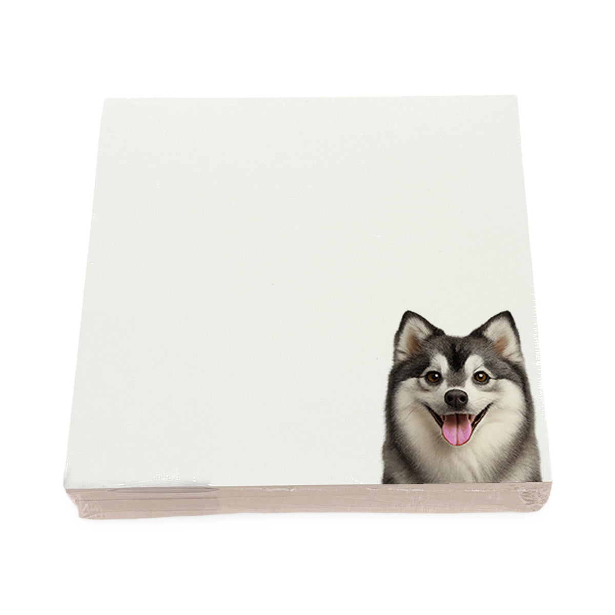 Pomsky dog note cards by Nicolette Mayer, set of 100