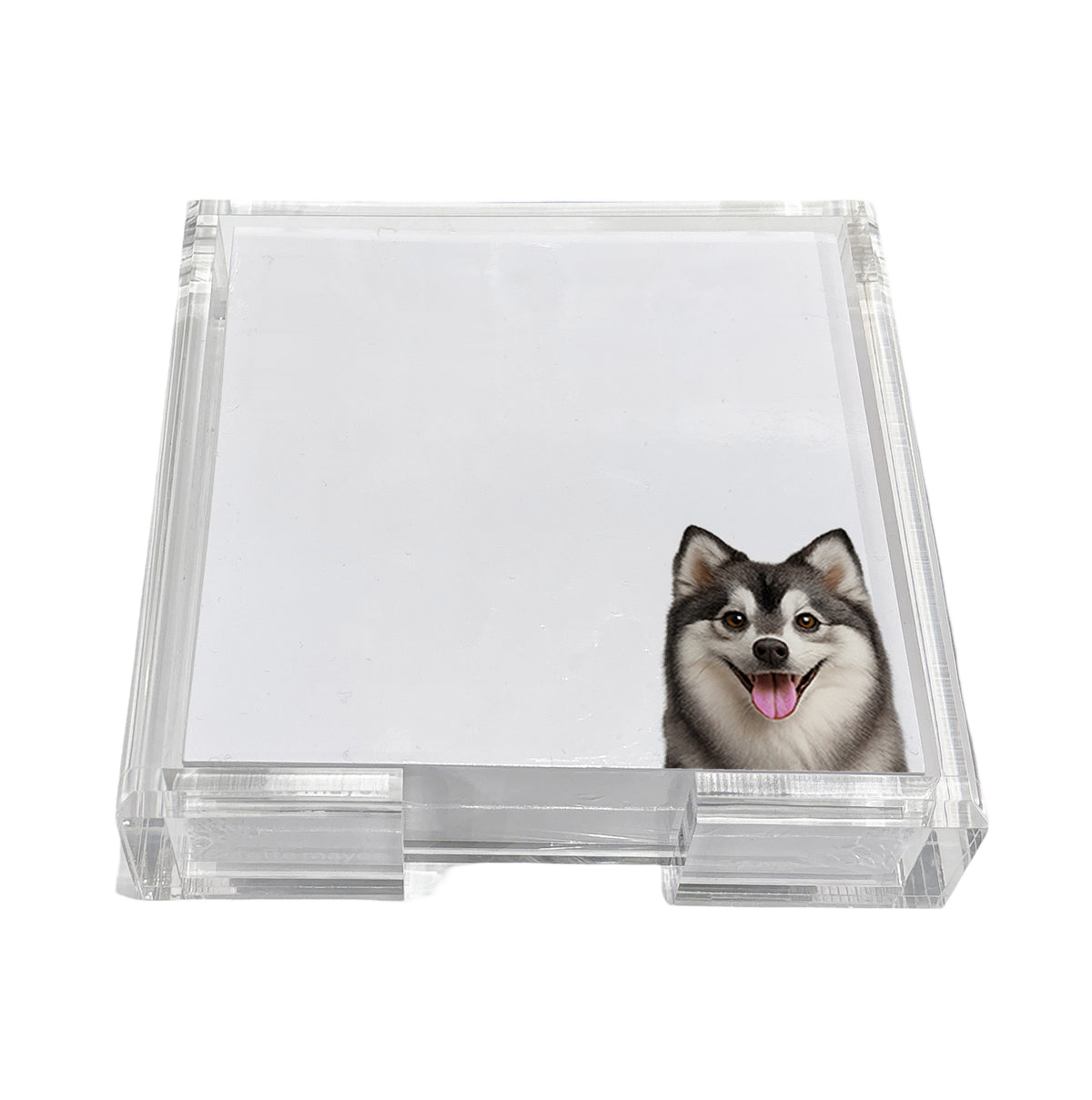 Pomsky dog note cards in a clear acrylic holder by Nicolette Mayer