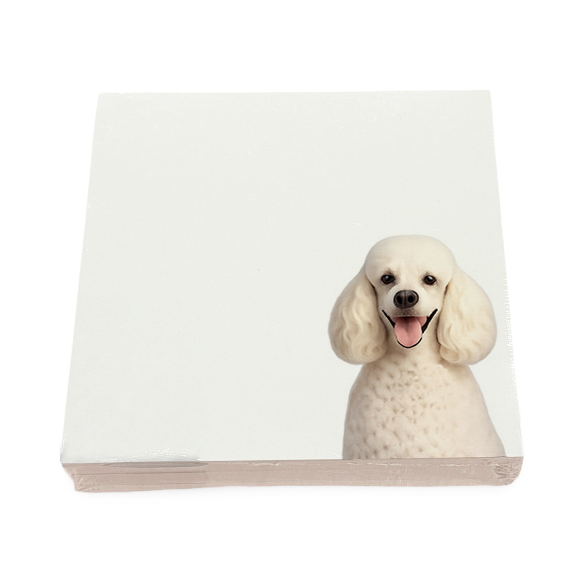 Poodle dog note cards by Nicolette Mayer, set of 100