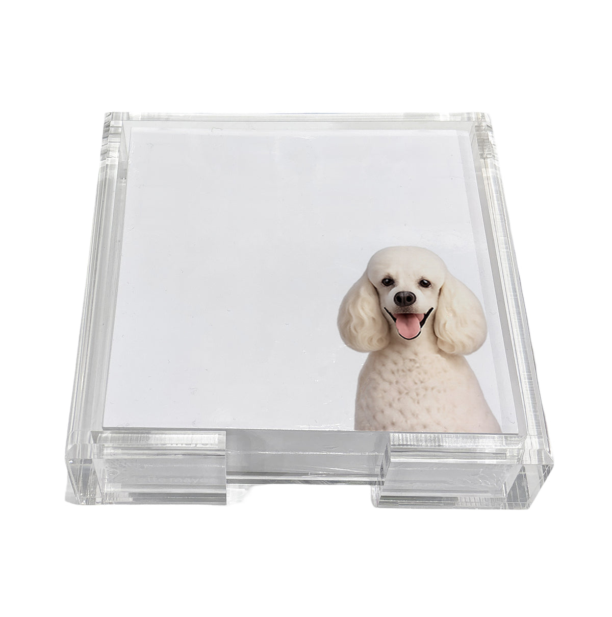 Poodle dog note cards in a clear acrylic holder by Nicolette Mayer