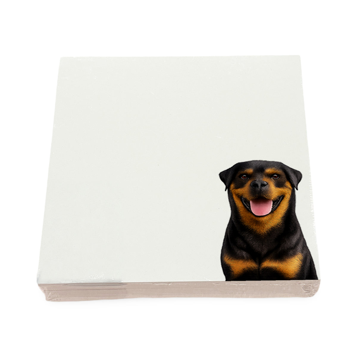 Rottweiler dog note cards by Nicolette Mayer, set of 100