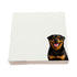 Rottweiler dog note cards by Nicolette Mayer, set of 100