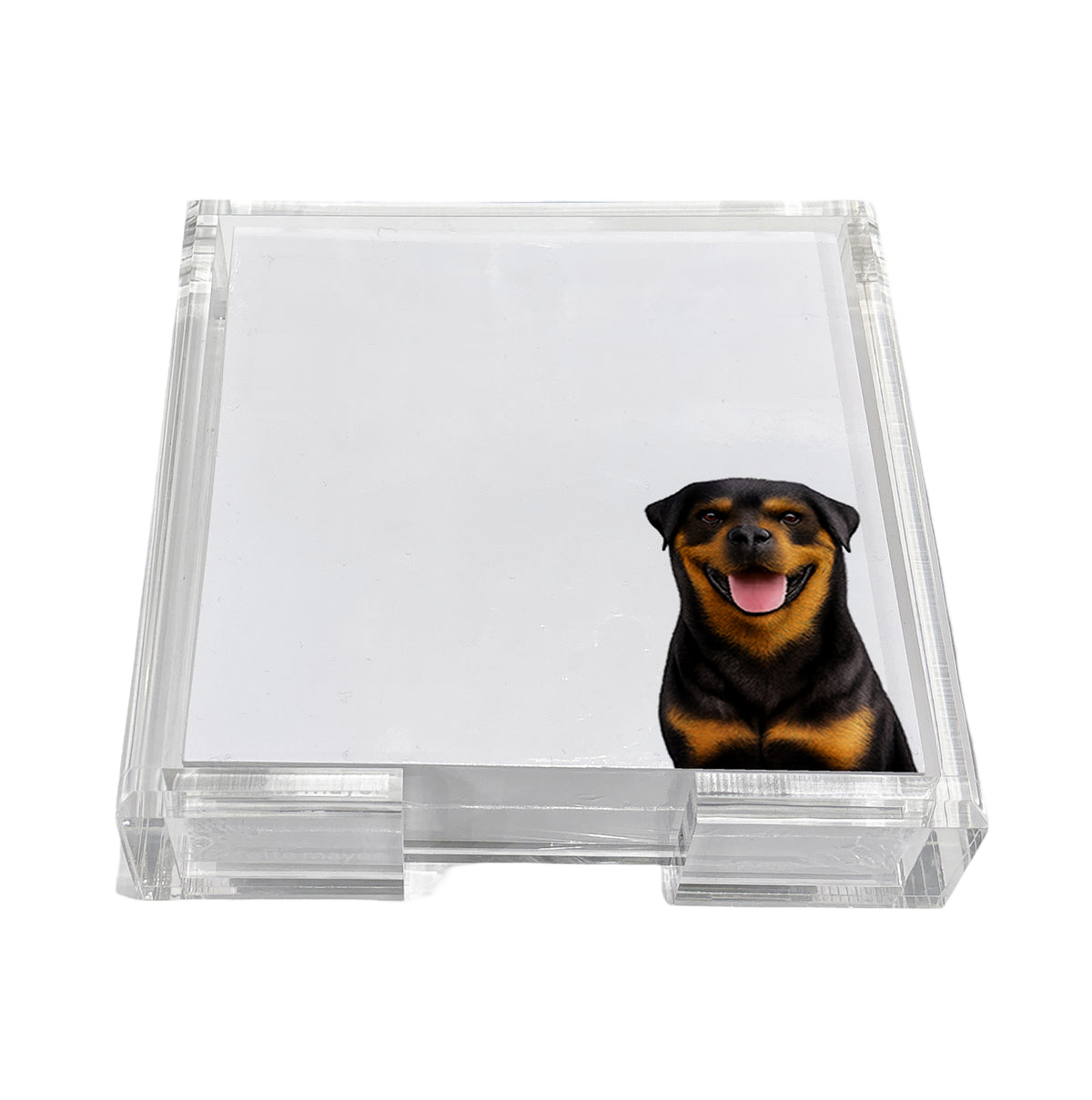 Rottweiler dog note cards in a clear acrylic holder by Nicolette Mayer