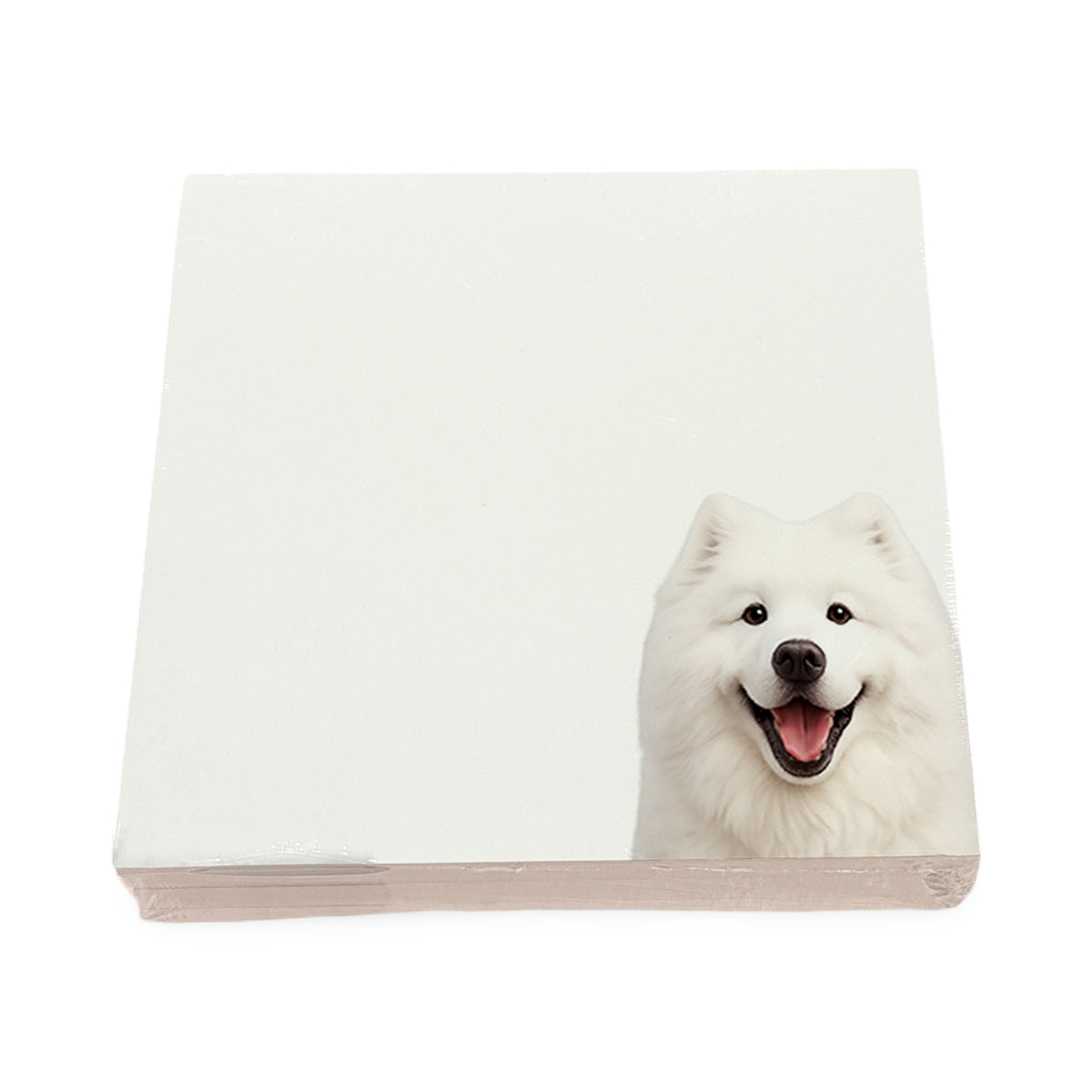 Samoyed dog note cards by Nicolette Mayer, set of 100