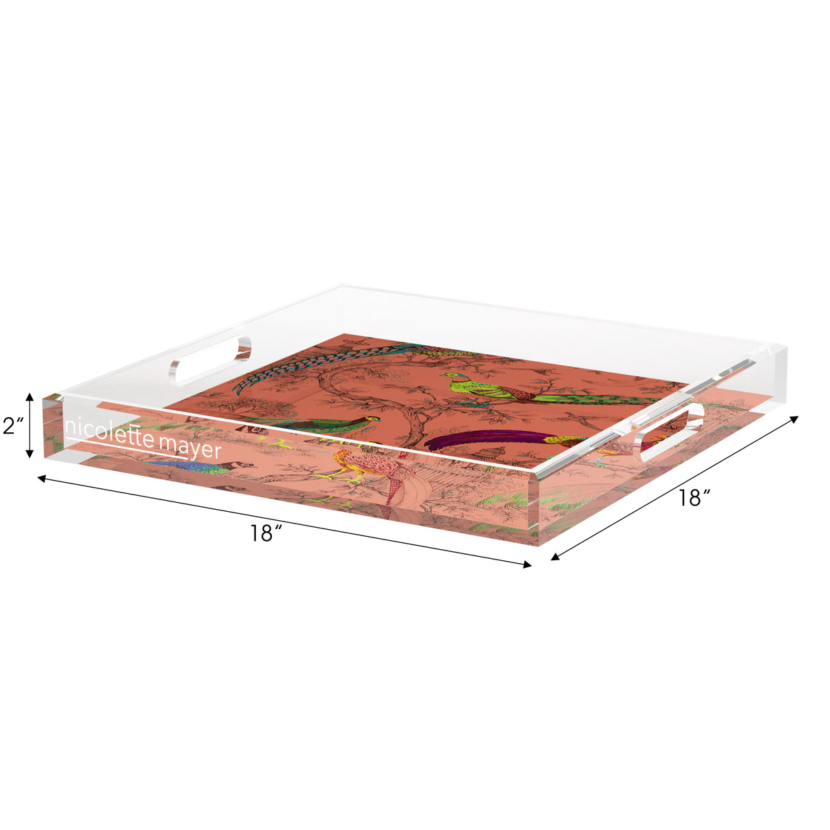Sauvage Paprika Acrylic Decorative Tray, 18 x 18 in. by Nicolette Mayer 
