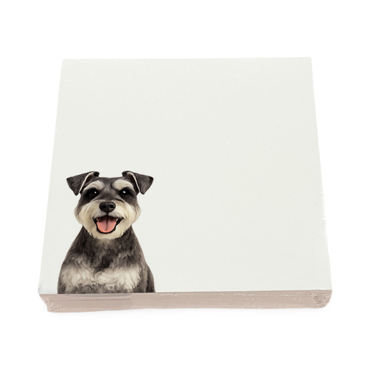Schnauzer dog note cards by Nicolette Mayer, set of 100