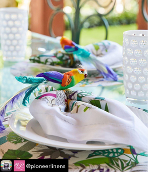 Nicolette Mayer Collection Sabi Placemats and Napkin with Kim Seybert Napkin Ring and Mario Giusti Tumblers thanks to Pioneer Linens Store