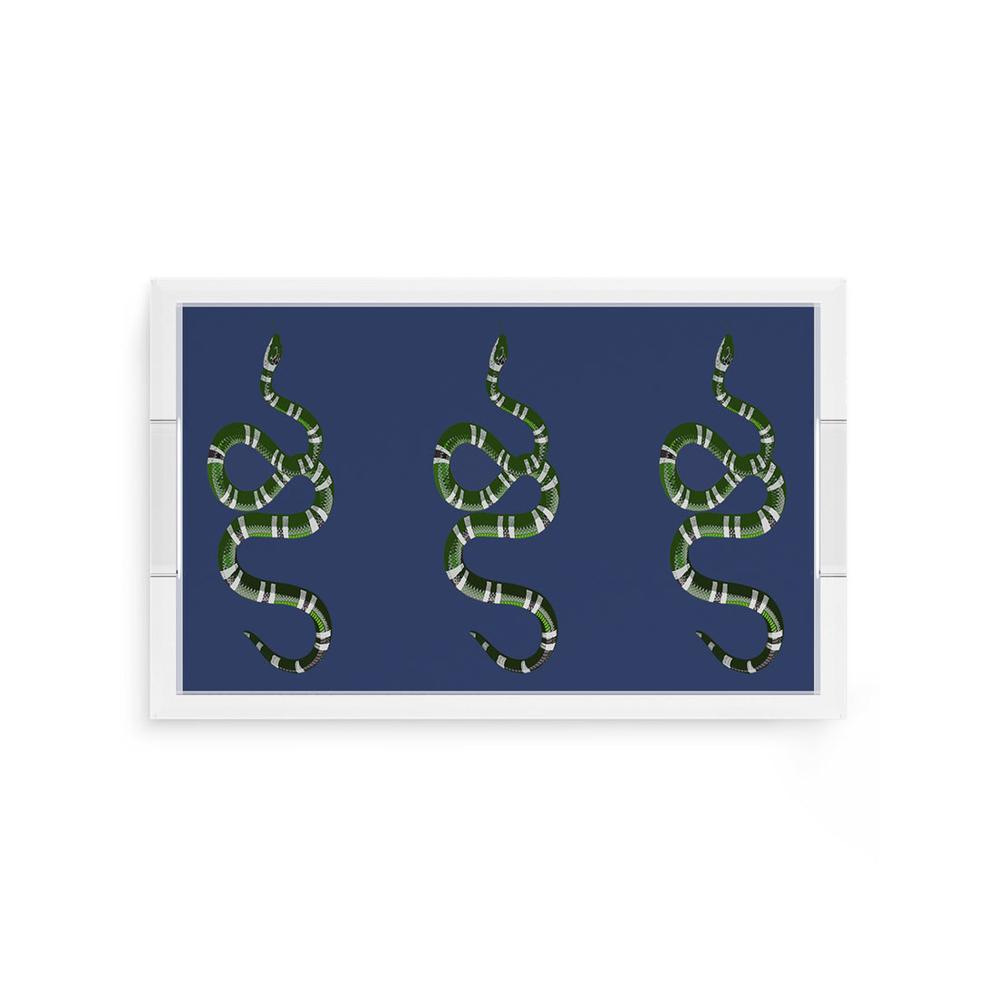 Serpent Blue 12.5X7.75 Acrylic Tray - nicolettemayer.com
