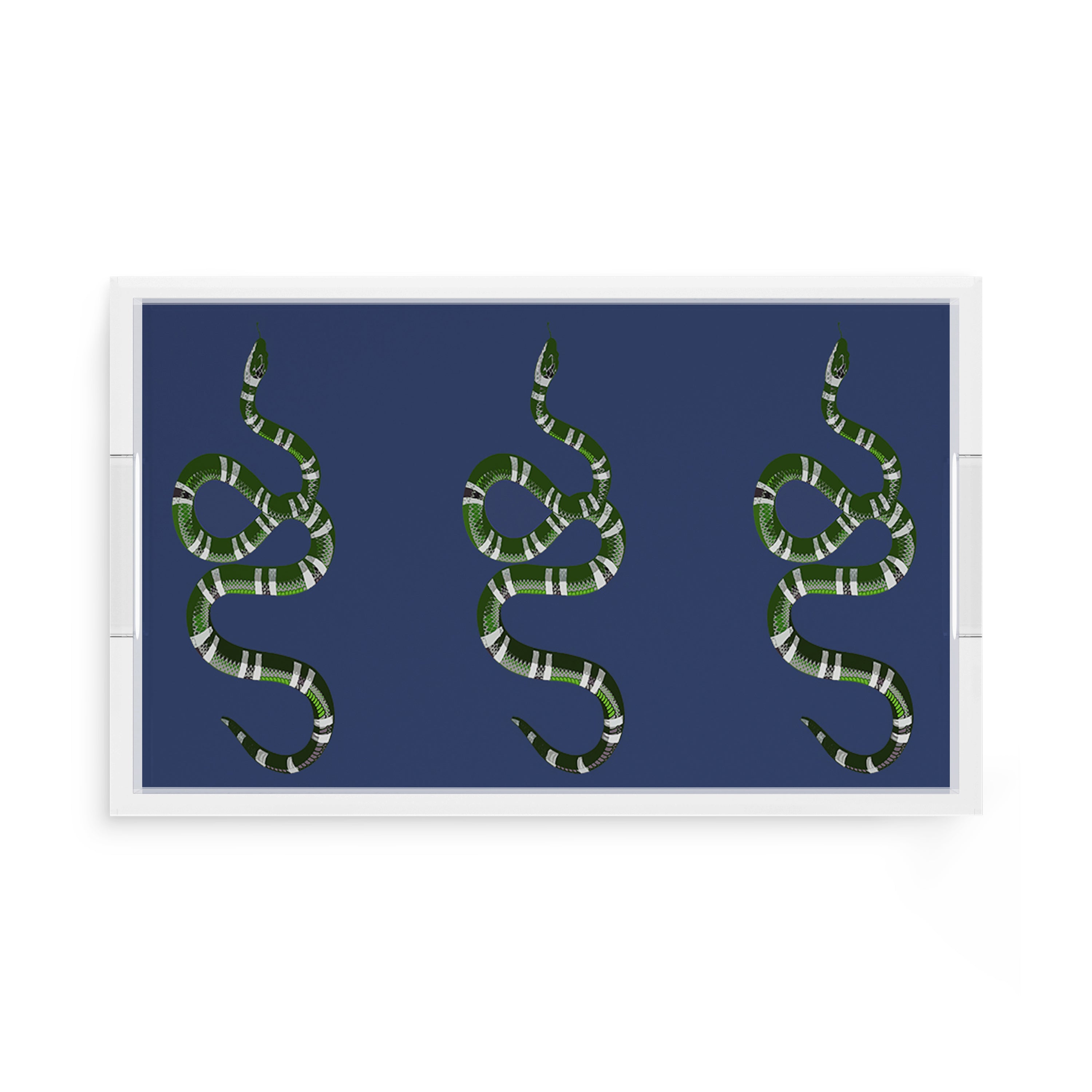 Serpent Blue 17X10.5 Acrylic Tray - nicolettemayer.com
