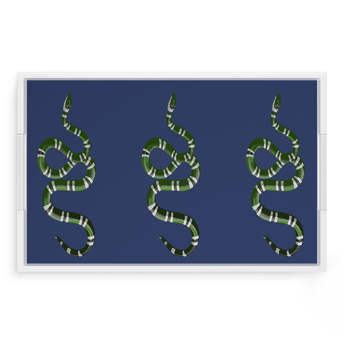 Serpent Blue 22.5X14.5 Acrylic Tray - nicolettemayer.com
