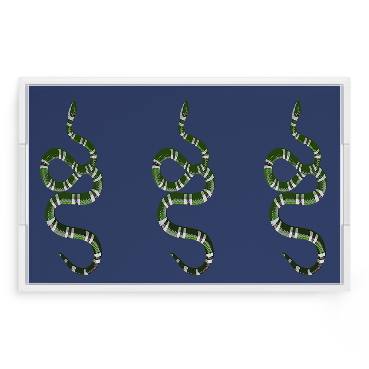 Serpent Blue 22.5X14.5 Acrylic Tray - nicolettemayer.com
