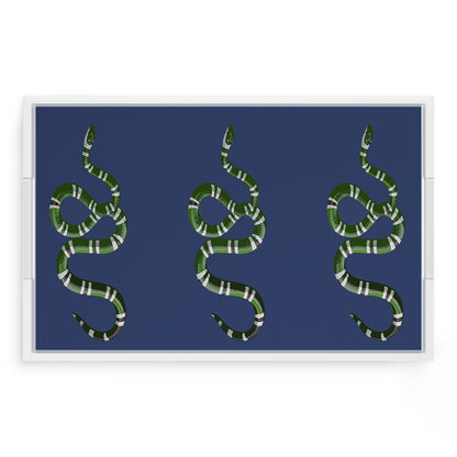 Serpent Blue 22.5X14.5 Acrylic Tray - nicolettemayer.com
