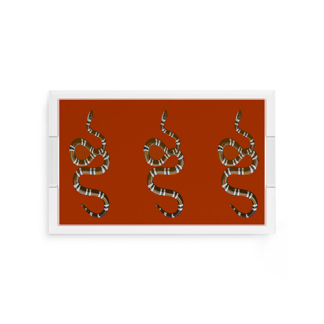 Serpent Burnt Orange 12.5X7.75 Acrylic Tray - nicolettemayer.com
