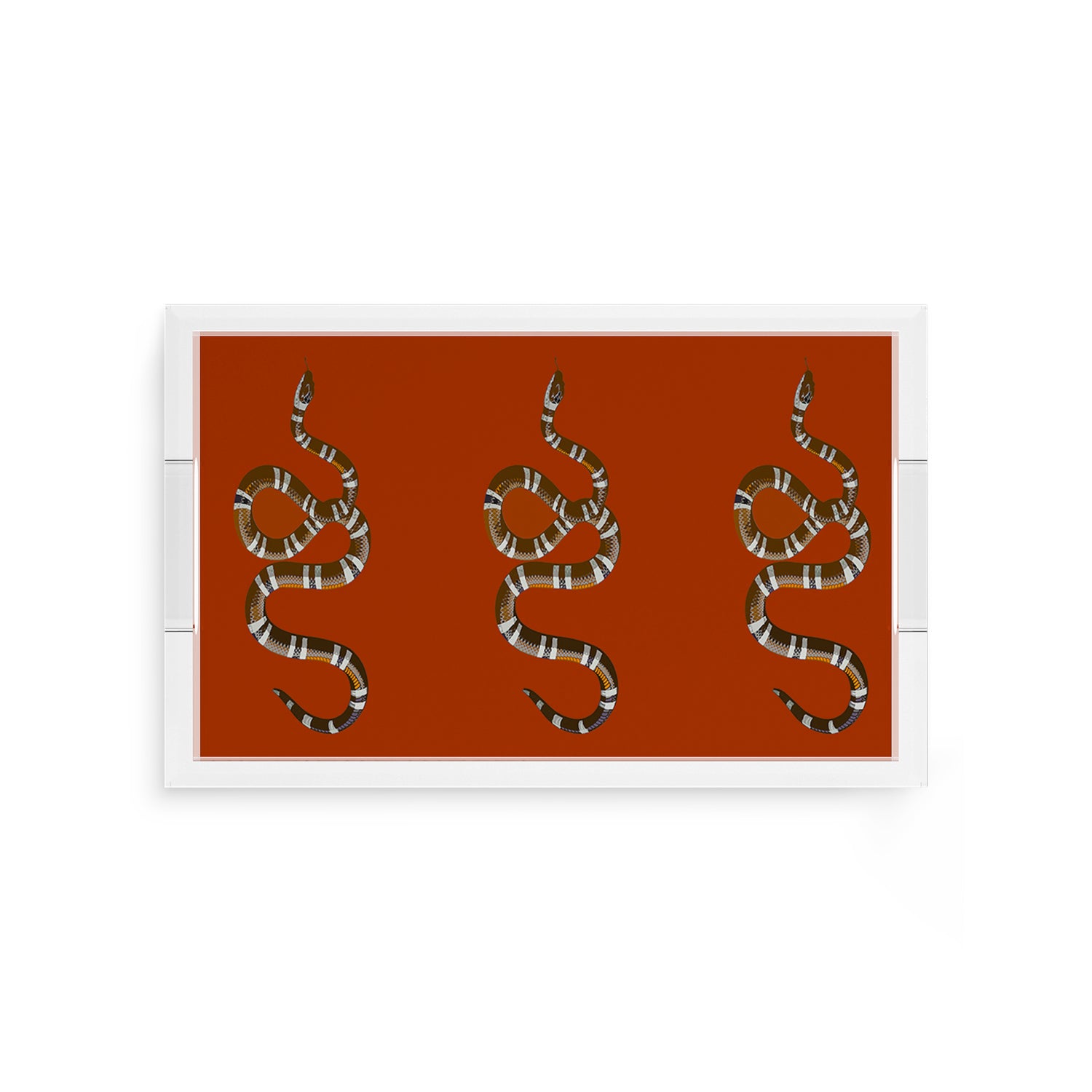 Serpent Burnt Orange 12.5X7.75 Acrylic Tray - nicolettemayer.com
