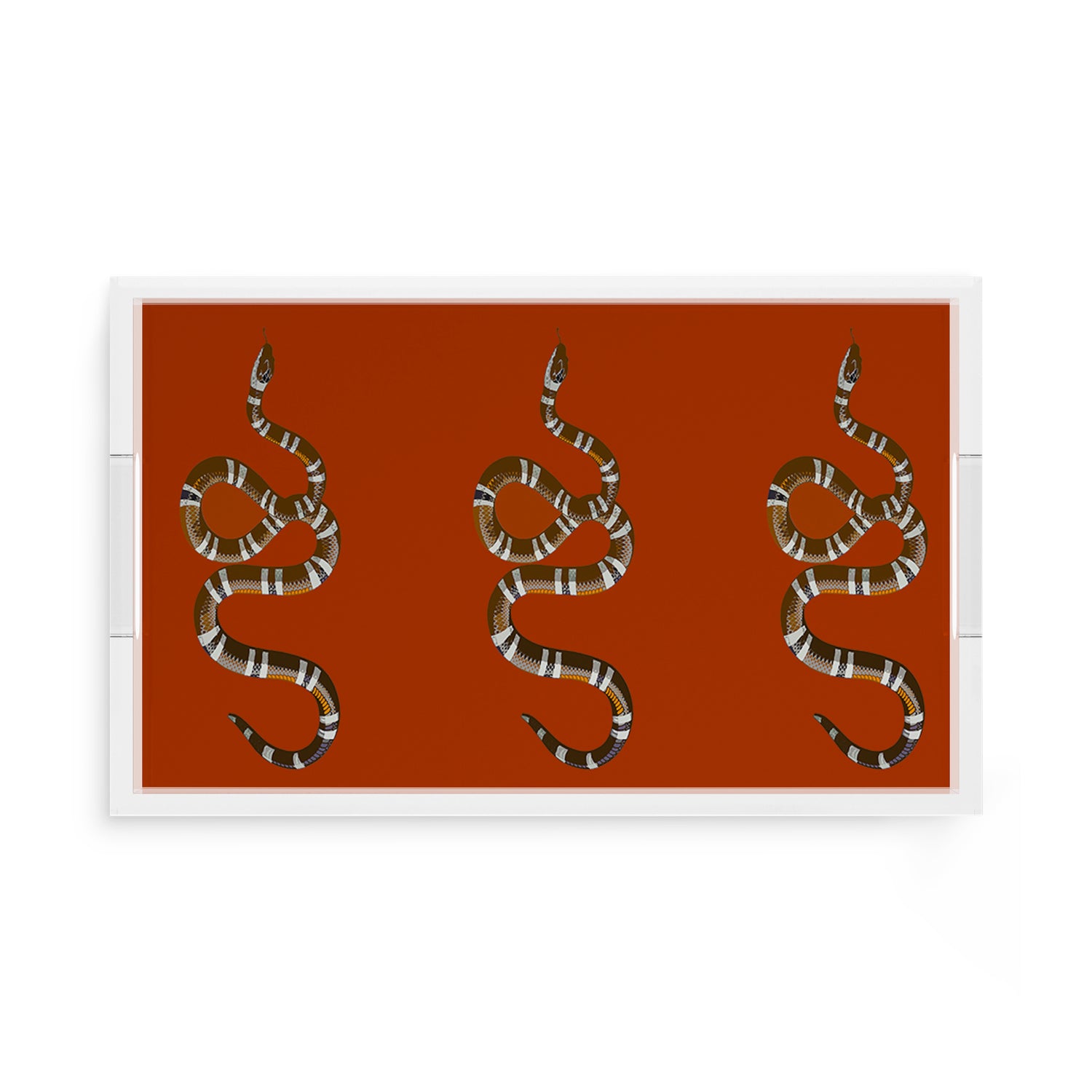 Serpent Burnt Orange 17X10.5 Acrylic Tray - nicolettemayer.com
